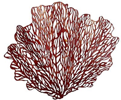 une image représentant un gorgone rouge sur fond blanc