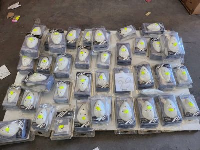 Lot de protections sportives (coquilles + suspensoirs) – neu…