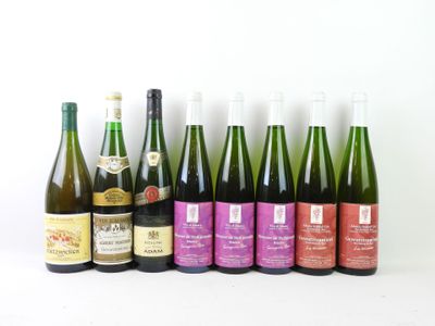 plusieurs bouteilles de vin sont alignées sur une surface blanche