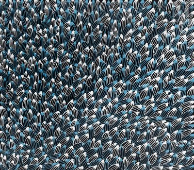 un gros plan sur les plumes d'un oiseau