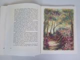 an open book with a picture of a path in the woods