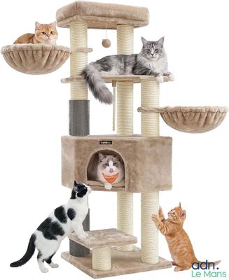 Plusieurs chats sont perchés au sommet d'un arbre à chat et jouent ensemble.