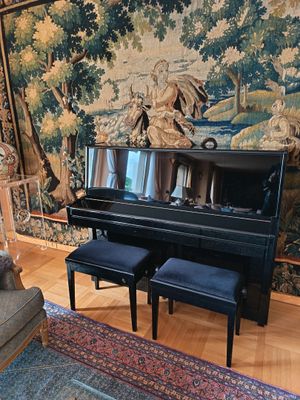 un piano noir dans un salon où une tapisserie est accrochée au mur