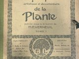 un vieux livre sur lequel figure l'image d'une plante