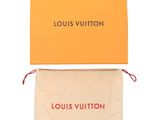 louis vuitton pouch in orange