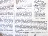 une page d'un livre sur laquelle figure le dessin d'une maison et d'un arbre
