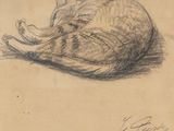 dessin représentant un chat allongé sur le côté sur une feuille de papier