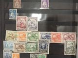 a picture of a collection of stamps on display in a glass case