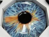 an image of a close up of a blue eye