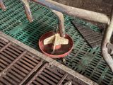 a red bowl with a piece of bread in it sitting on a metal grate