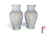 deux vases placés l'un à côté de l'autre