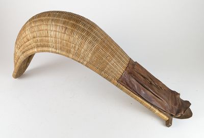 un grand objet en forme de corne posé sur une surface blanche