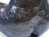 a close up of a bronze statue of a dog