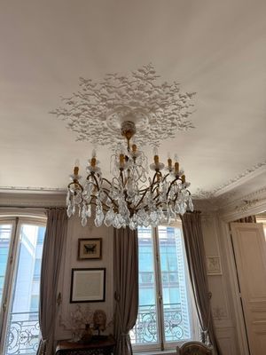 un lustre au milieu du salon