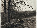 a black and white drawing of a tree in the middle of a field