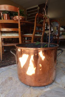 un grand pot en cuivre contenant une plante, posé sur une table