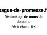 Photo 1/1 du lot