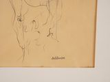 drawing of a woman ' s face with a horse ' s head in the background