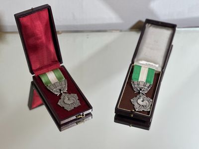 two medals sitting in a case on a table