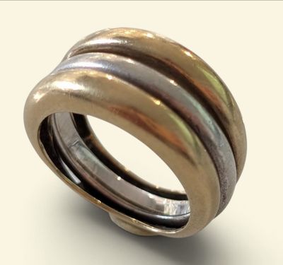 an image of a ring made of silver and gold