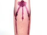 un vase en verre violet contenant une fleur rose, posé sur une surface blanche