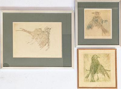 four framed drawings of birds on the wall