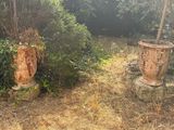 deux grands vases posés au milieu d'un champ