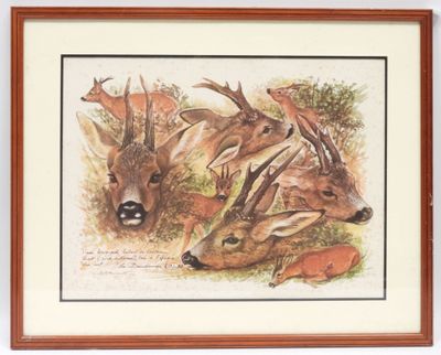 reproduction encadrée représentant un cerf et une antilope se reposant dans l'herbe
