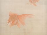 two goldfishs swimming in a pond of water