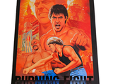 a poster of a man and a woman fighting in a fight