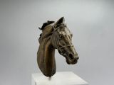 sculpture représentant une tête de cheval sur un socle, sur fond gris