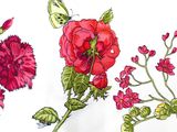 a drawing of flowers and a butterfly on a white sheet