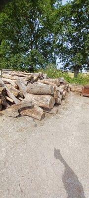 a man riding a skateboard down a street next to a pile of logs
