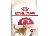royal canin fit cat food