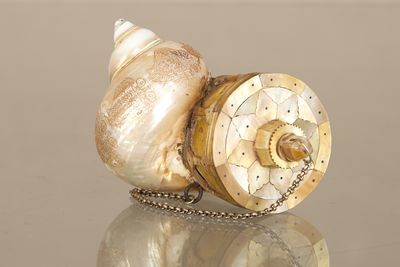 a shell with a chain around it on a table