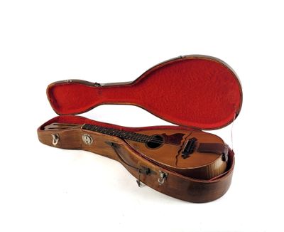 un étui à guitare contenant une guitare