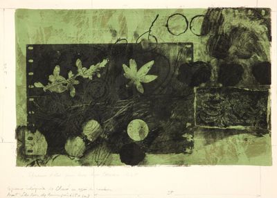 Antoni Clav - Feuille verte, 1975