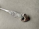 a silver spoon with a spoon handle on a table