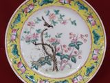 an image of a plate with a bird on it on a red background