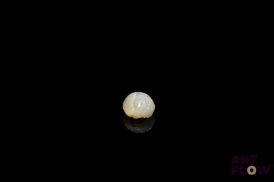 a close up of a tooth on a black surface with a black background