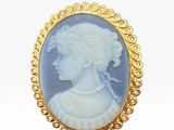 an image of a woman ' s profile is shown in a gold - plated broocher