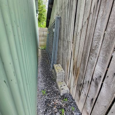 un chat assis sur le rebord d'un immeuble