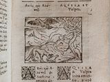 an old book with a picture of a man and a woman on it