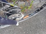 a broken bicycle wheel on the ground next to a person ' s shoes