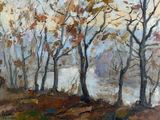 an oil painting of trees in a wooded area with a river in the background