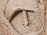 a close up of a face in the sand