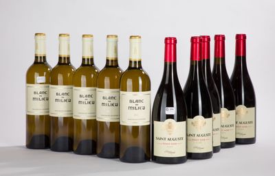 six bouteilles de vin sont alignées sur une surface blanche