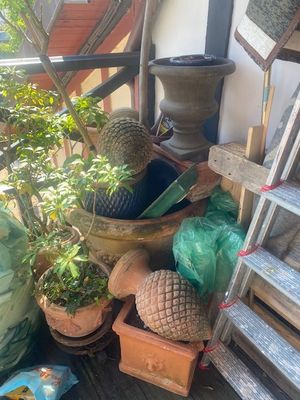beaucoup de plantes qui sont posées sous le porche