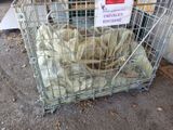 a cage with a bunch of sheep inside of it
