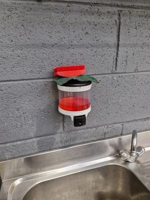 Distributeur à savon et essuie-mains muraux